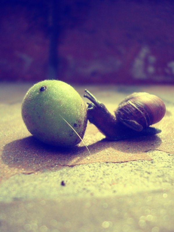 Фотовиставка Валентини Жуги